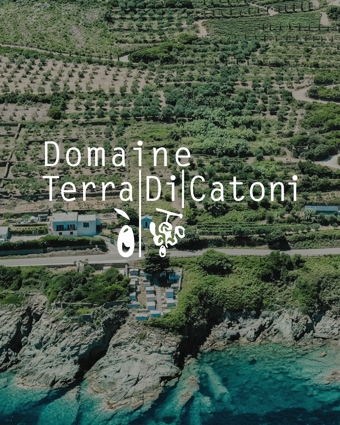 Domaine Terra di Catoni — Cap Corse